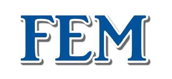 Imagen de FEM