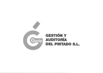 Imagen de GADP GESTIÓN Y AUDITORIA DEL PINTADO S.L