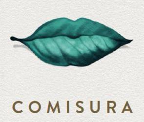Imagen de Comisura