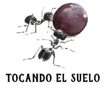Imagen de TOCANDO EL SUELO