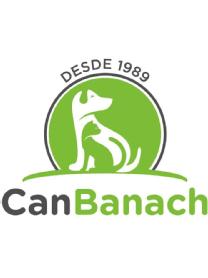 Imagen de DESDE 1989 CANBANACH