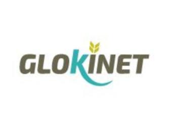 Imagen de GLOKINET