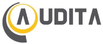 Imagen de AUDITA