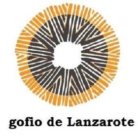 Imagen de Gofio de Lanzarote
