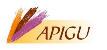 Imagen de APIGU