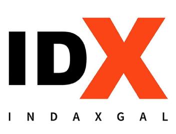 Imagen de IDX INDAXGAL