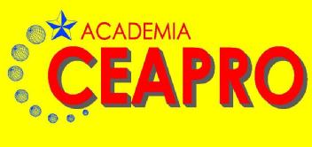 Imagen de ACADEMIA CEAPRO