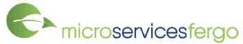 Imagen de MICRO SERVICES FERGO