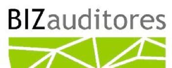 Imagen de BIZ AUDITORES