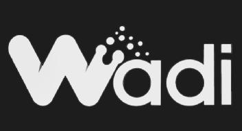 Imagen de WADI