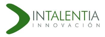 Imagen de INTALENTIA INNOVACIÓN