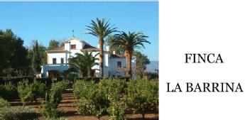 Imagen de FINCA LA BARRINA