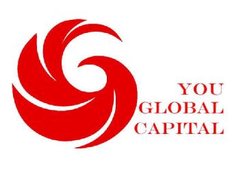 Imagen de YOU GLOBAL CAPITAL