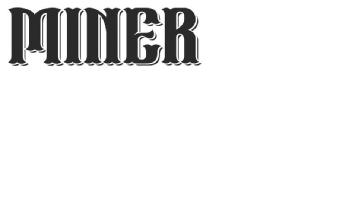 Imagen de MINER