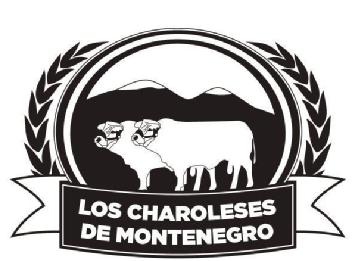 Imagen de LOS CHAROLESES DE MONTENEGRO