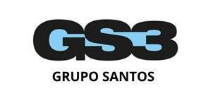 Imagen de GS3 GRUPO SANTOS