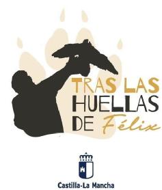 Imagen de TRAS LAS HUELLAS DE FÉLIX CASTILLA - LA MANCHA