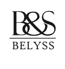 Imagen de B&S BELYSS