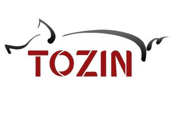 Imagen de TOZIN