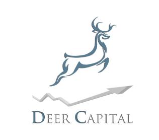 Imagen de DEER CAPITAL
