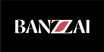 Imagen de BANZZAI