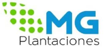 Imagen de MG PLANTACIONES