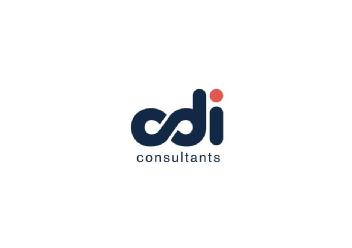 Imagen de CDI CONSULTANTS
