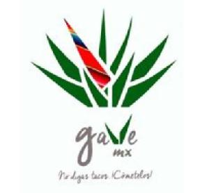 Imagen de GAVE MX NO DIGAS TACOS ¡COMETELOS!