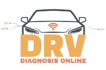 Imagen de DRV Diagnosis Online