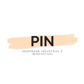 Imagen de PIN PROPIEDAD INDUSTRIAL E INTELECTUAL