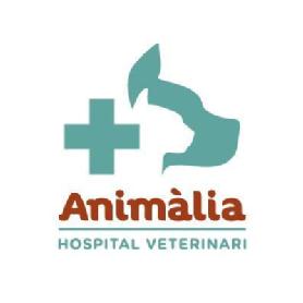 Imagen de Animàlia HOSPITAL VETERINARI