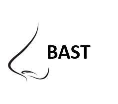 Imagen de BAST