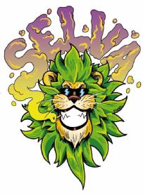 Imagen de SELVA