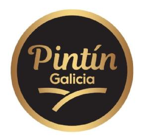 Imagen de Pintín Galicia
