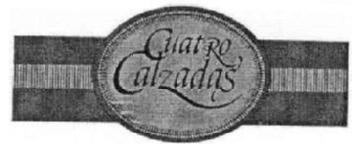 Imagen de CUATRO CALZADAS