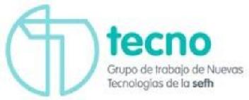 Imagen de TECNO GRUPO DE TRABAJO DE NUEVAS TECNOLOGÍAS DE LA SEFH