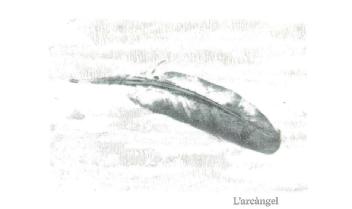 Imagen de L\'ARCÀNGEL