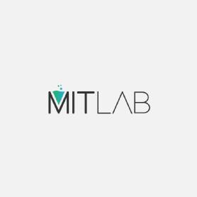 Imagen de MITLAB