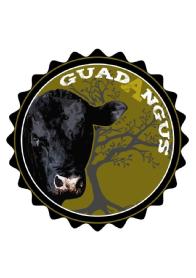 Imagen de GUADANGUS