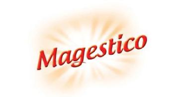 Imagen de MAGESTICO