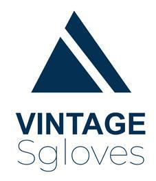 Imagen de VINTAGE SGLOVES