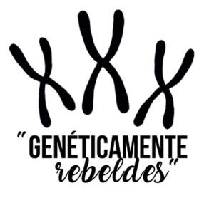 Imagen de 