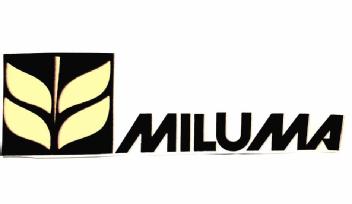 Imagen de MILUMA