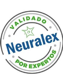Imagen de NEURALEX VALIDADO POR EXPERTOS