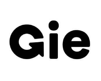 Imagen de GIE