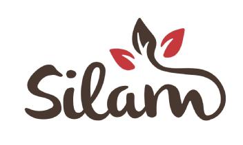 Imagen de SILAM