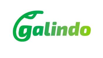 Imagen de GALINDO
