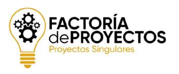 Imagen de FACTORÍA DE PROYECTOS. PROYECTOS SINGULARES