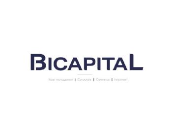 Imagen de BICAPITAL