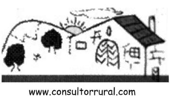 Imagen de www.consultorrural.com